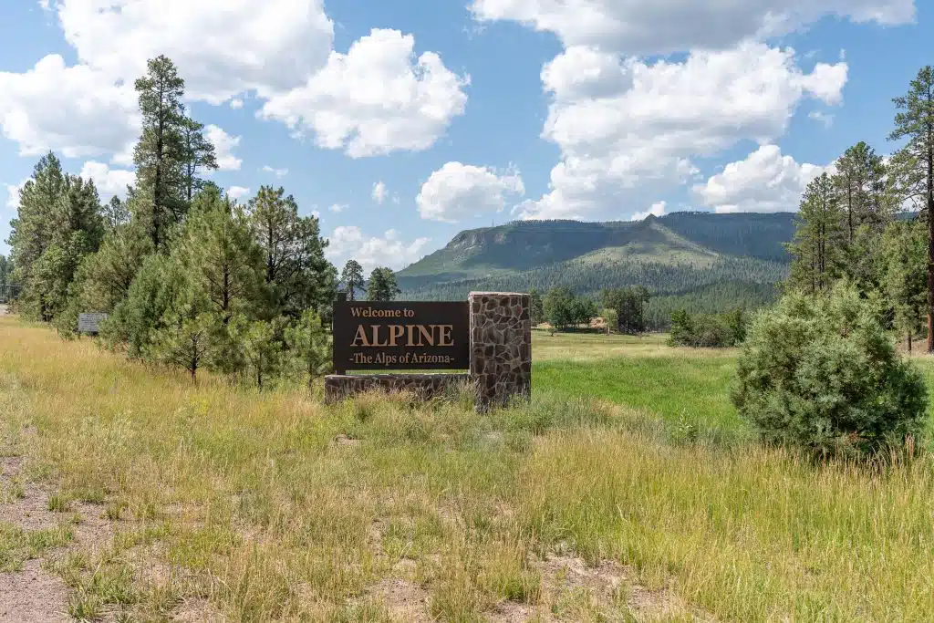 Go White Mountains Inc.
